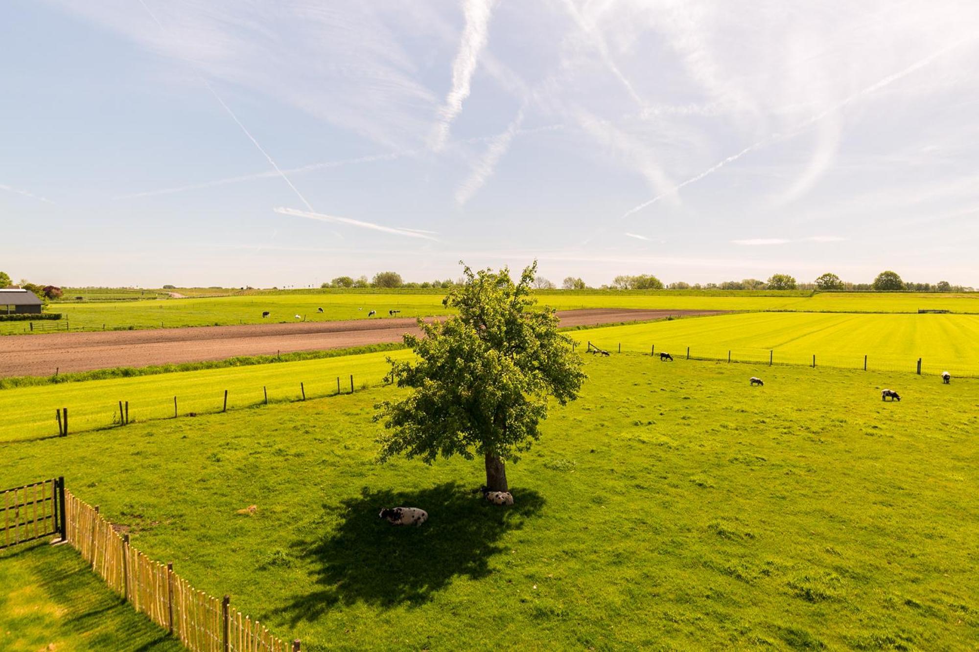 Bed and Breakfast Boerderij De Zalm Schalkwijk Esterno foto